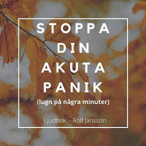 Cover for Stoppa din akuta panik (lugn på några minuter)