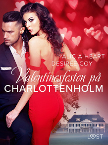 Cover for Valentinesfesten på Charlottenholm - erotisk novell