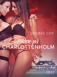 Cover for Stölden på Charlottenholm - erotisk spänningsnovell