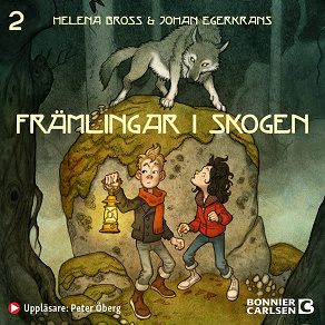 Cover for Främlingar i skogen