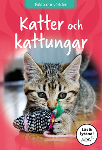 Omslagsbild för Katter och kattungar