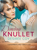 Cover for Domedagsknullet - erotisk novell