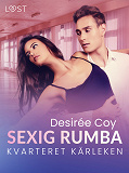 Cover for Kvarteret kärleken: Sexig rumba - erotisk novell