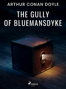 Omslagsbild för The Gully of Bluemansdyke