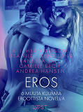 Cover for Eros - 6 muuta kuumaa eroottista novellia