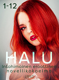 Cover for Halu 1-12: Intohimoinen eroottinen novellikokoelma
