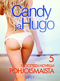 Cover for Candy ja Hugo - 5 eroottista novellia Pohjoismaista