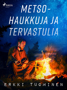 Cover for Metsohaukkuja ja tervastulia