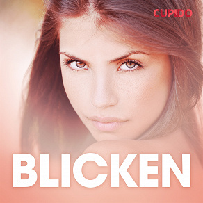 Omslagsbild för Blicken - erotiska noveller