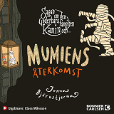 Cover for Sagan om den underbara familjen Kanin och mumiens återkomst