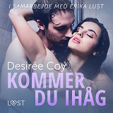 Cover for Kommer du ihåg - erotisk novell