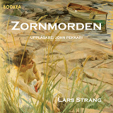 Cover for Zornmorden