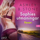 Cover for Sophies utmaningar 2: Resan - erotisk novell