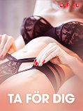 Cover for Ta för dig - erotiska noveller