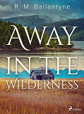 Cover for Away in the Wilderness