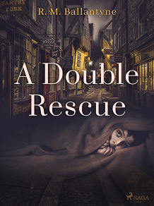 Omslagsbild för A Double Rescue