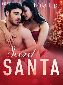 Cover for Secret Santa – Erotic Christmas Story