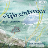 Cover for Följa strömmen : livet för en manet