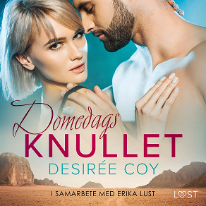 Cover for Domedagsknullet - erotisk novell