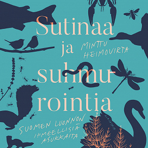 Cover for Sutinaa ja suhmurointia