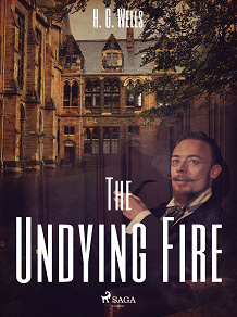Cover for The Undying Fire