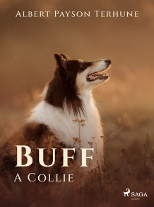 Cover for Buff: A Collie