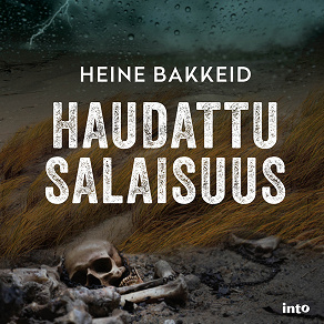 Cover for Haudattu salaisuus