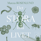 Cover for Det stora lilla livet