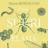 Cover for Pieni suuri elämä