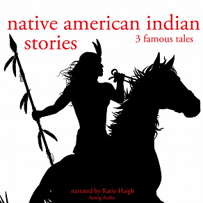 Omslagsbild för 3 American Indian Stories