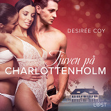 Cover for Tjuven på Charlottenholm - erotisk spänningsnovell
