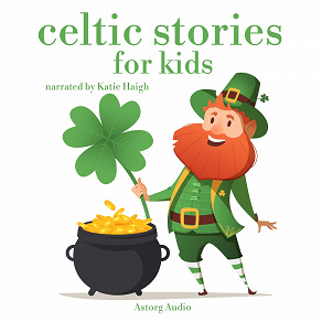 Cover for Celtic Stories for Kids