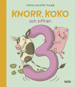 Omslagsbild för Knorr, Koko och siffran 3