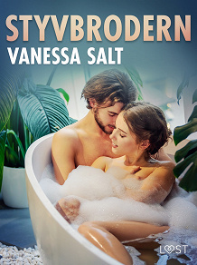 Cover for Styvbrodern - erotisk novell