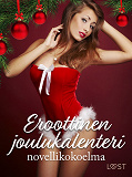 Cover for Eroottinen joulukalenteri: novellikokoelma