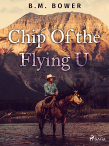 Omslagsbild för Chip Of the Flying U