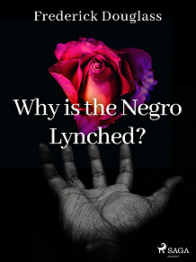 Omslagsbild för Why is the Negro Lynched?