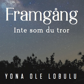 Omslagsbild för Framgång - Inte som du tror