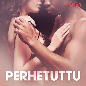 Omslagsbild för Perhetuttu – eroottinen novelli