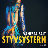 Cover for Styvsystern - erotisk novell