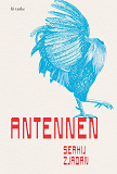 Cover for Antennen