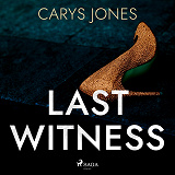 Cover for Last Witness