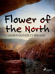 Omslagsbild för Flower of the North