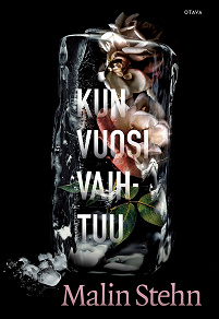Cover for Kun vuosi vaihtuu