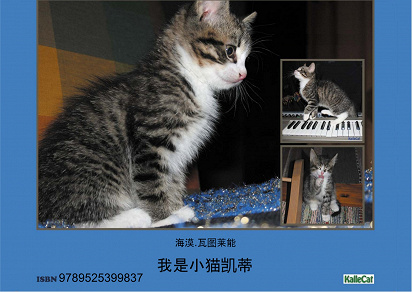 Omslagsbild för Kitty the Kitten - e Photo Book - pdf - Chinese language