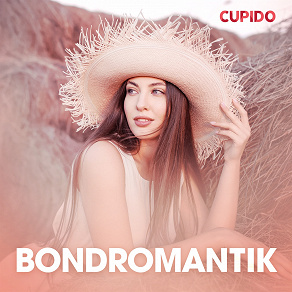 Cover for Bondromantik – erotisk novell