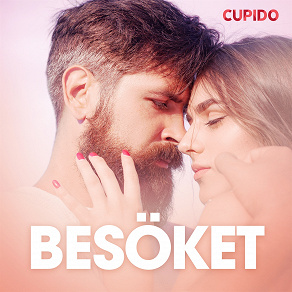 Cover for Besöket – erotisk novell
