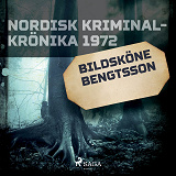Cover for Bildsköne Bengtsson