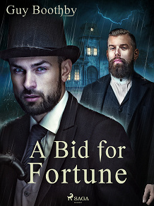 Cover for A Bid for Fortune