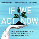 Omslagsbild för If We Act Now - the surprisingly simple steps we can take to avoid the worst of climate crisis